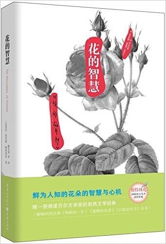 自然美文系列:花的智慧