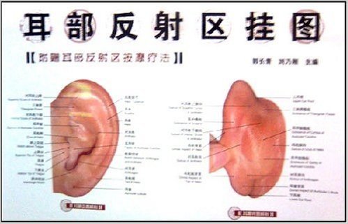 耳部反射区挂图(附耳部反射区按摩疗法1本)