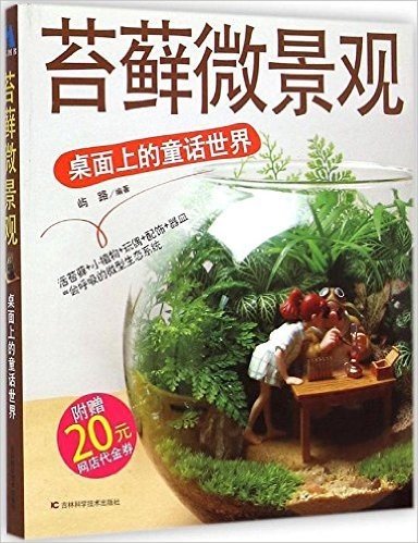 苔藓微景观:桌面上的童话世界