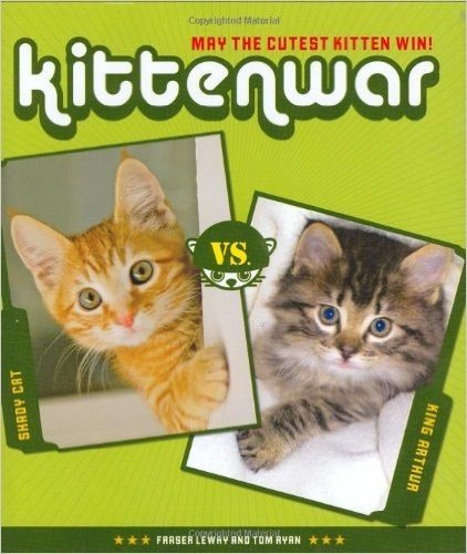 kittenwar: may the cutest kitten win!