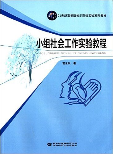 21世纪高等院校示范性实验系列教材:小组社会工作实验教程