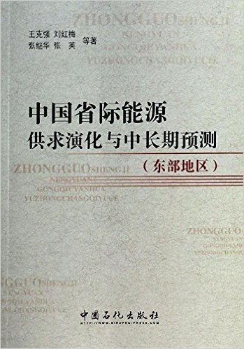 中国省际能源供求演化与中长期预测(东部地区)