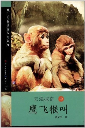 野生动物世界探险系列·云海探奇(中册):鹰飞猴叫