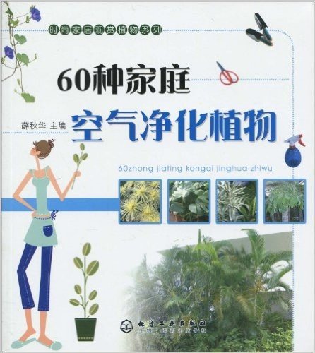 60种家庭空气净化植物