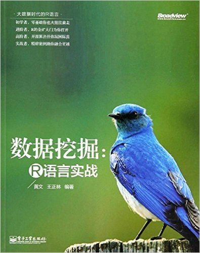 数据挖掘:R语言实战