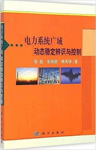 电力系统广域动态稳定辨识与控制