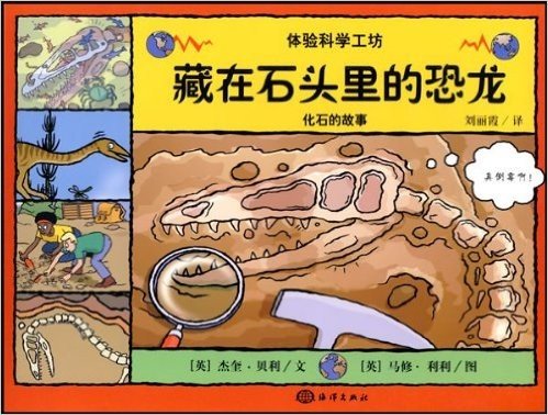 藏在石头里的恐龙:化石的故事