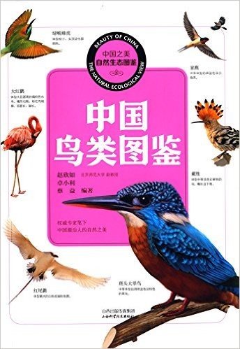 中国之美·自然生态图鉴:中国鸟类图鉴