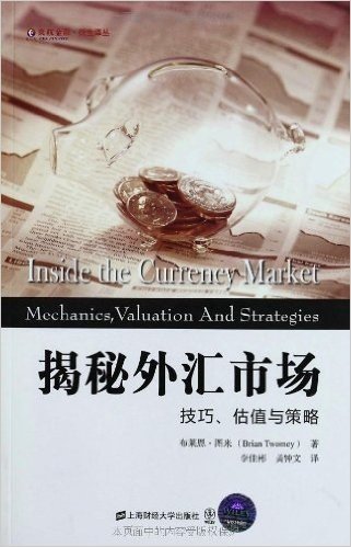 揭秘外汇市场:技巧、估值与策略(引进版)