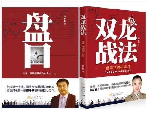 盘口+双龙战法:盘口精确买卖点(套装共2册)