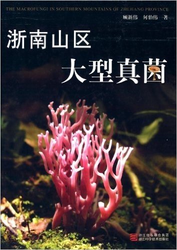 浙南山区大型真菌