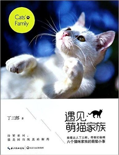 遇见·萌猫家族