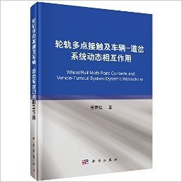 轮轨多点接触及车辆·道岔系统动态相互作用