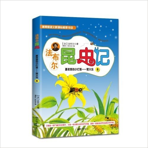 法布尔昆虫记8·夏夜里的小灯笼:萤火虫