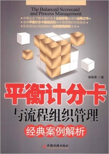 中国企业战略执行经典案例解析系列丛书:平衡计分卡与流程组织管理经典案例解析