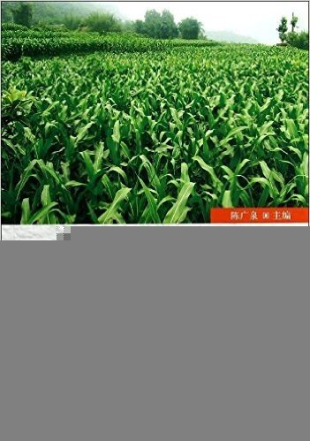 河西走廊玉米制种田病虫草害发生与综合防治技术
