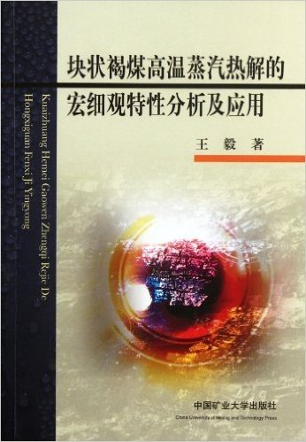 块状褐煤高温蒸汽热解的宏细观特性分析及应用