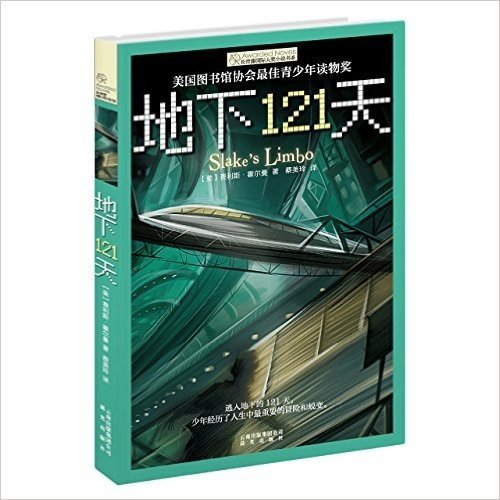 长青藤国际大奖小说书系(第2辑):地下121天