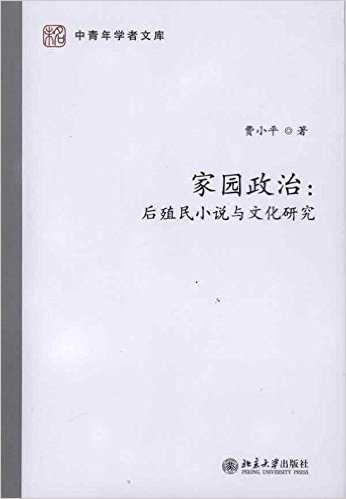 家园政治:后殖民小说与文化研究