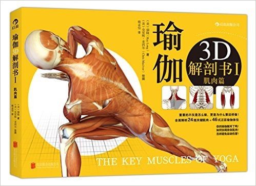 瑜伽3D解剖书1(肌肉篇)