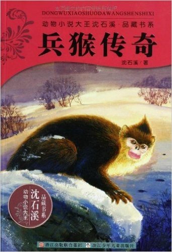 动物小说大王沈石溪品藏书系:兵猴传奇