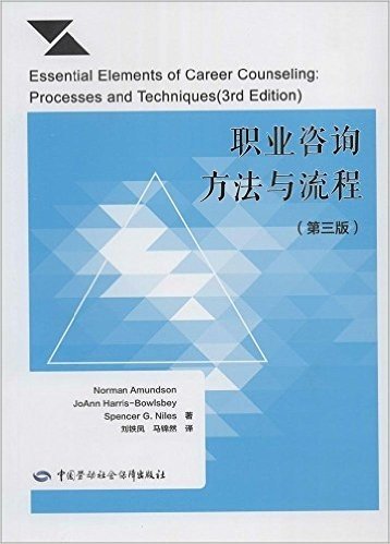 职业咨询方法与流程(第三版)