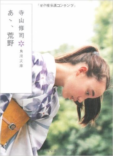 あゝ、荒野(2009年2月) (角川文庫)