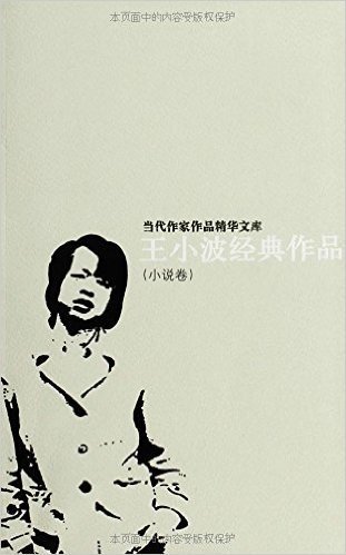 王小波经典作品(小说卷+杂文卷)(共2册)