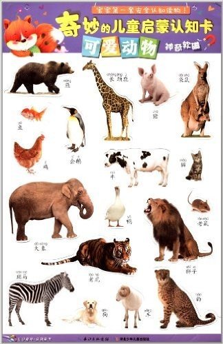 七彩童年 益智童书·奇妙的儿童启蒙认知卡:可爱动物