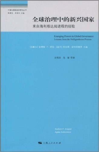 全球治理中的新兴国家:来自海利根达姆进程的经验