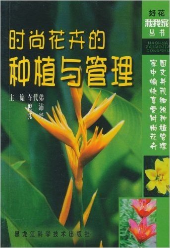 时尚花卉的种植与管理