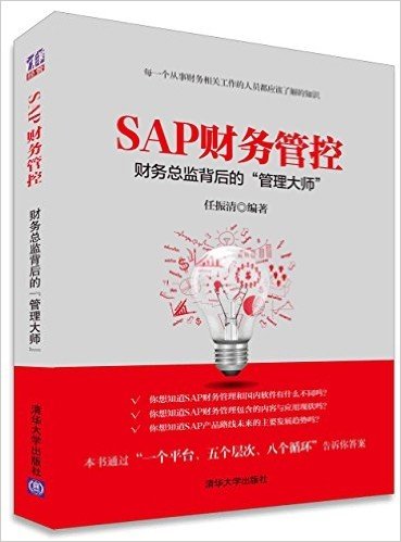 SAP财务管控:财务总监背后的"管理大师"