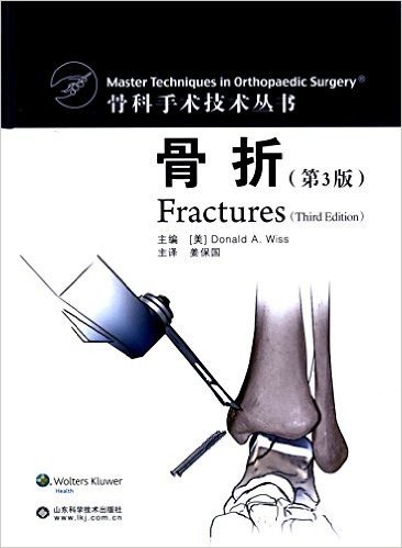 骨科手术技术丛书:骨折(第3版)