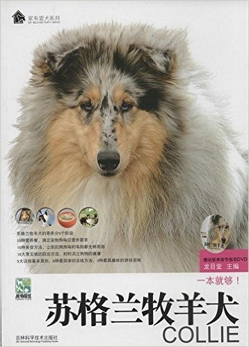 苏格兰牧羊犬(附DVD光盘1张)