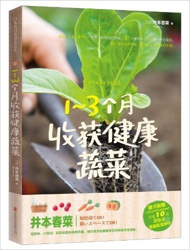 1-3个月收获健康蔬菜(附价值10元花仙子健康蔬菜种子)