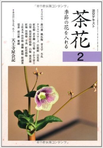 茶花:季節の花を入れる（2）