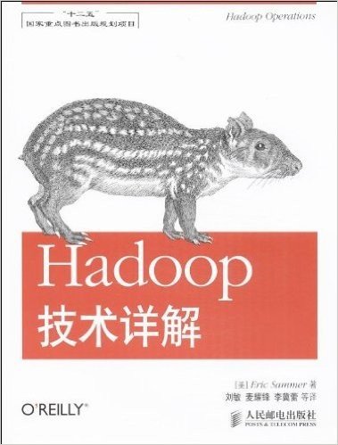 Hadoop技术详解