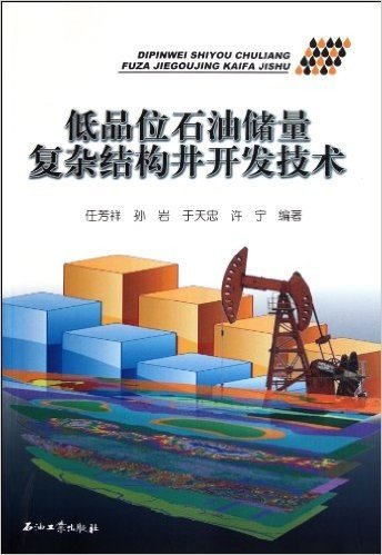 低品位石油储量复杂结构井开发技术