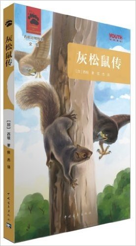 YOUTH经典译丛·西顿动物故事全集:灰松鼠传
