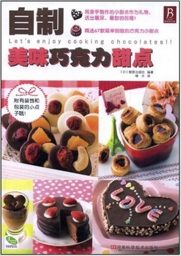 自制美味巧克力甜点(随书附有装饰和包装的小点子哦!)