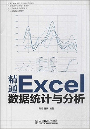 精通Excel数据统计与分析