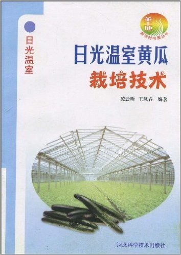 日光温室黄瓜栽培技术