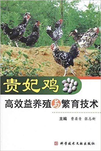 贵妃鸡高效益养殖与繁育技术