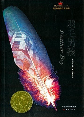 国际大奖小说:羽毛男孩(成长版)
