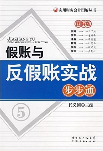 假账与反假账实战步步通