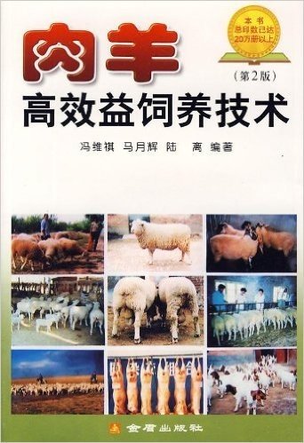 肉羊高效益饲养技术(第2版)