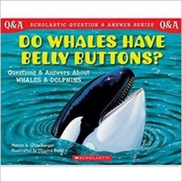 英文原版SCHOLASTIC Q & A: DO WHALES HAVE BELLY BUTTONS?学生问答：鲸鱼有肚脐么？/SCHOLASTIC US