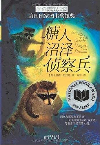 长青藤国际大奖小说书系:糖人沼泽侦察兵