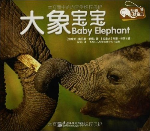 动物萌宝贝:大象宝宝