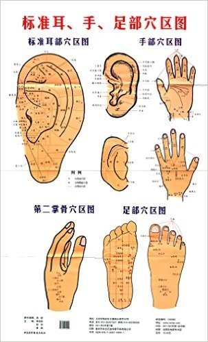 标准耳、手、足部穴区图